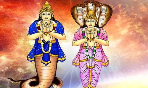 Rahu Ketu: జాతకంలో రాహు కేతువు బలంగా ఉండాలంటే శనివారం రోజున ఈ పనులు చేయండి