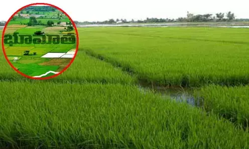 నాలుగేండ్ల అక్రమాలకు చెక్.. ప్రతి ఆస్తికి భూదార్ నంబర్