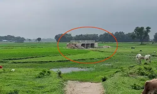 Bridge : రోడ్డు, నది లేదు.. కానీ బ్రిడ్జి నిర్మాణం! గ్రామస్తుల ఆగ్రహం.. ఎక్కడంటే?