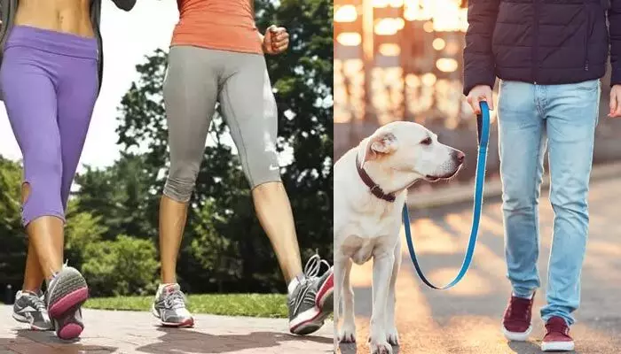 Walking benefits: జస్ట్ 10 నిమిషాలు.. ప్రతిరోజూ ఆ పనిచేస్తే కలిగే ప్రయోజనాలివే.. Walking benefits: జస్ట్ 10 నిమిషాలు.. ప్రతిరోజూ ఆ పనిచేస్తే కలిగే ప్రయోజనాలివే..