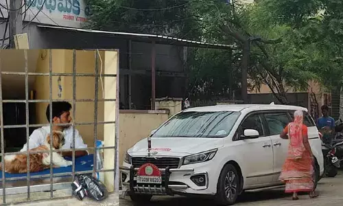 Additional collector : పెంపుడు కుక్క ట్రీట్మెంట్ కి అడిషనల్ కలెక్టర్ కారు..