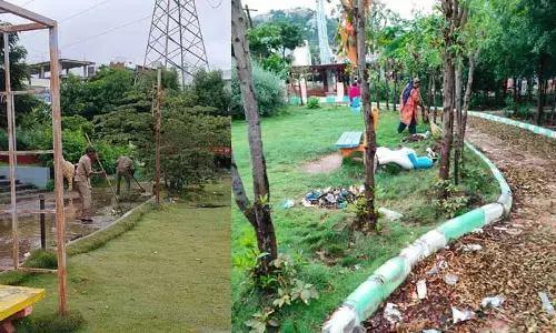 Disha Effect : పడకేసిన స్వచ్ఛదనం - పచ్చదనం వార్తతో కదిలిన మున్సిపల్ యంత్రాంగం...