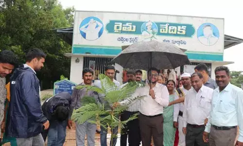 Collector Tejas Nand Lal Pawar : స్వచ్చదనం - పచ్చదనం కార్యక్రమంలో ప్రతి ఒక్కరు పాల్గొనాలి..