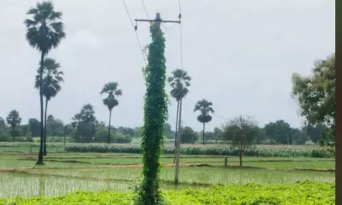 Electric pole : ప్రమాదం జరిగితేనే స్పందిస్తారా...!