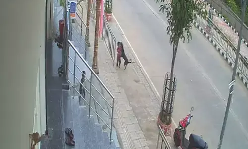 Street Dog Attack: కరీంనగర్‌లో దారుణం.. 18 నెలల బాలుడిపై వీధి కుక్క దాడి