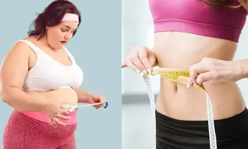 Weight Loss Tips : అధిక బరువుతో ఇబ్బంది పడుతున్నారా?.. ఈ మార్పులతో ప్రాబ్లం క్లియర్!