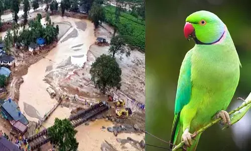 Kerala:వయనాడ్‌లో ప్రళయం..ప్రజలను కాపాడిన చిలుక