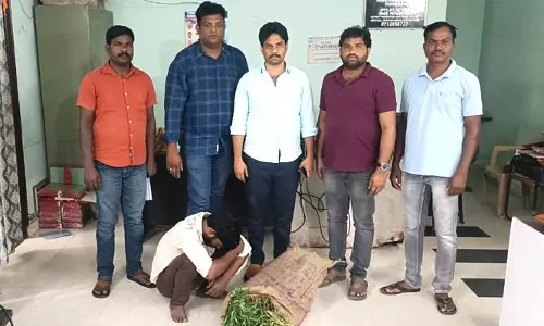గంజాయి మొక్కలను పెంచుతున్న వ్యక్తి అరెస్ట్