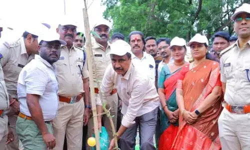 తడిచెత్త, పొడిచెత్తతో ఎరువులు తయారు చేస్తాం