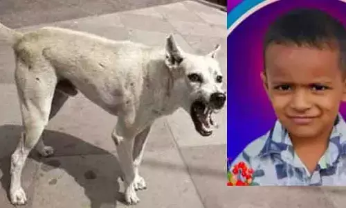 కుక్కల దాడిలో బాలుడి మృతి..!