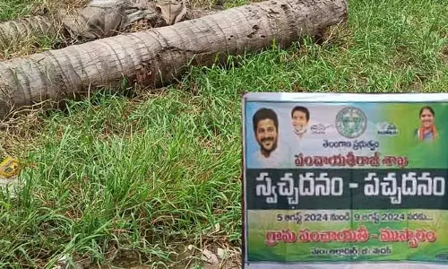 Sanitation : ముప్పారం తండాలో పారిశుధ్యం అస్తవ్యస్తం ..