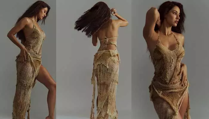 Disha Patani: జంగిల్ అవుట్ ఫిట్లో అందాల జాతర - హాట్ పోజులతో పిచ్చెక్కిస్తున్న కల్కి బ్యూటీ Disha Patani: జంగిల్ అవుట్ ఫిట్లో అందాల జాతర - హాట్ పోజులతో పిచ్చెక్కిస్తున్న కల్కి బ్యూటీ