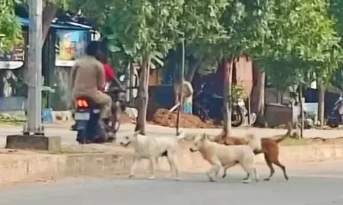 ఐదుగురిని కరిచిన పిచ్చికుక్క.. చిన్నారులకు గాయాలు..!