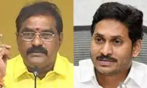 AP Politics:వైఎస్ జగన్ పై మంత్రి నిమ్మల సంచలన వ్యాఖ్యలు