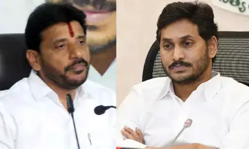 Duvvada Srinivas: వైసీపీకి తలనొప్పిగా మారిన నాయకుల కుటుంబ కలహాలు