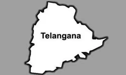 తెలంగాణలోని ఈ రెండు జిల్లాల్లో ఫైలేరియా, నులిపురుగులు తీవ్రత