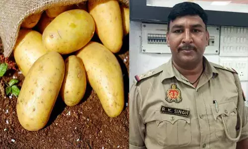Potatoes SI : ‘5 కేజీల ఆలుగడ్డలు’ లంచంగా కోరిన ఎస్ఐ.. కానీ ఒక ట్విస్ట్ ఉంది..