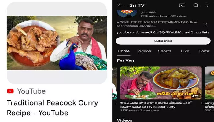 Youtube Video: పికాక్ కర్రీ ఎలా చేయాలో తెలుసా..? వీడియోపై జంతు ప్రేమికుల ఆగ్రహం Youtube Video: పికాక్ కర్రీ ఎలా చేయాలో తెలుసా..? వీడియోపై జంతు ప్రేమికుల ఆగ్రహం