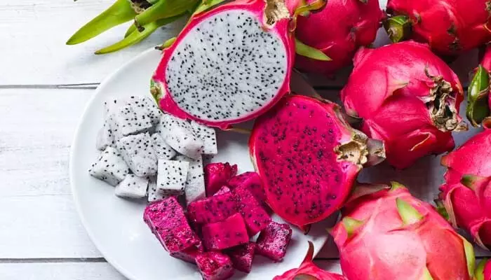 Dragon fruits: డ్రాగన్ ఫ్రూట్స్ను తినకుండా పక్కన పెట్టేస్తున్నారా.. దాని వల్ల ఎన్ని లాభాలో తెలిస్తే షాక్! Dragon fruits: డ్రాగన్ ఫ్రూట్స్ను తినకుండా పక్కన పెట్టేస్తున్నారా.. దాని వల్ల ఎన్ని లాభాలో తెలిస్తే షాక్!
