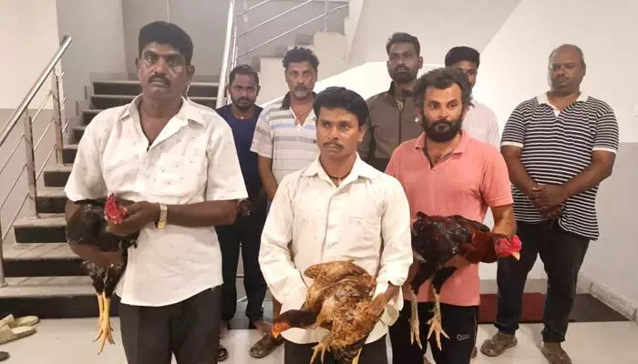 కోడి పందాల బెట్టింగ్ ముఠా అరెస్ట్ కోడి పందాల బెట్టింగ్ ముఠా అరెస్ట్