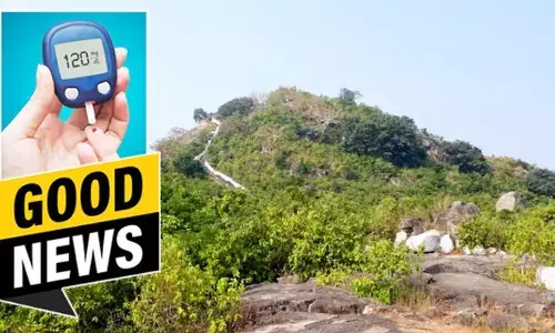 Trending: షుగర్ పేషెంట్లకు గుడ్ న్యూస్.. వ్యాధిని తగ్గించే మొక్కను గుర్తించిన శాస్త్రవేత్తలు