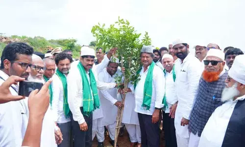 MLA, Collector : మొక్కల సంరక్షన అందరి భాధ్యత..