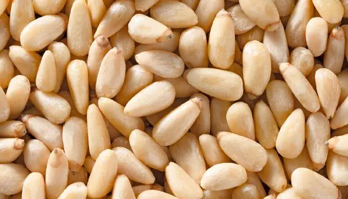 pine nuts : బంగారంకంటే విలువైన గింజలు.. తినడంవల్ల కలిగే బెనిఫిట్స్ తెలిస్తే అస్సలు వదలరు! pine nuts : బంగారంకంటే విలువైన గింజలు.. తినడంవల్ల కలిగే బెనిఫిట్స్ తెలిస్తే అస్సలు వదలరు!
