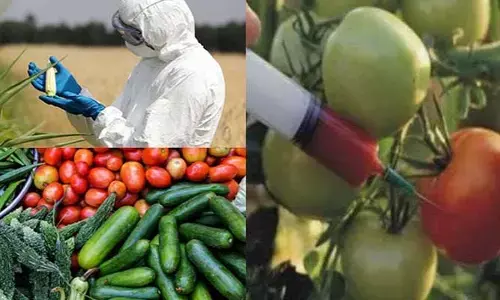 vegetables : కూరగాయల పై రసాయనాలు.. ఏ అవయవాలు దెబ్బతింటాయో తెలుసా ?
