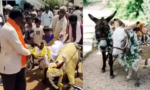 Donkey Marriage: గ్రాండ్‌గా గాడిదలకు పెళ్లి.. ఊరంతా కలిసి సెలబ్రేషన్స్
