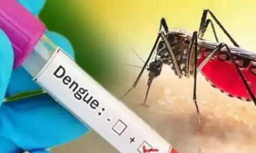 Health Update: తెలంగాణలో భారీగా డెంగ్యూ కేసులు