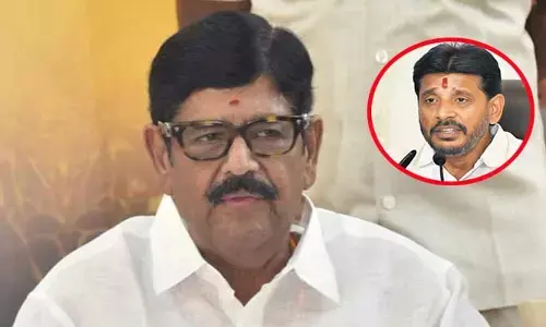 వైసీపీ ఎమ్మెల్సీ దువ్వాడ వివాదంపై మంత్రి ఆనం సంచలన వ్యాఖ్యలు