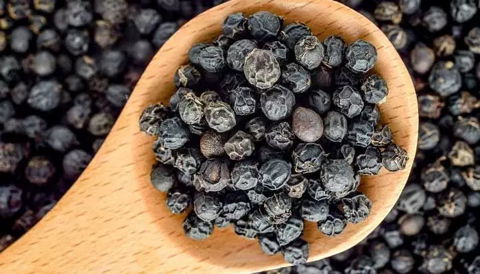 Health Benefits : మిరియాలలో ఏముందిలే అని తీసిపారేయకండి.. ప్రయోజనాలు తెలిస్తే అవాక్కవాల్సిందే Health Benefits : మిరియాలలో ఏముందిలే అని తీసిపారేయకండి.. ప్రయోజనాలు తెలిస్తే అవాక్కవాల్సిందే