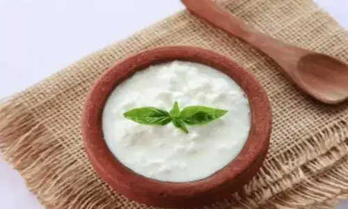 Curd : వర్షాకాలంలో పెరుగు తింటే ఎన్ని లాభాలో..