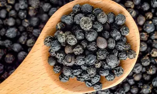 Health Benefits : మిరియాలలో ఏముందిలే అని తీసిపారేయకండి.. ప్రయోజనాలు తెలిస్తే అవాక్కవాల్సిందే