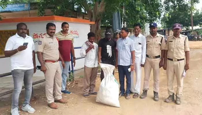 8 కిలోల గంజాయి పట్టివేత 8 కిలోల గంజాయి పట్టివేత