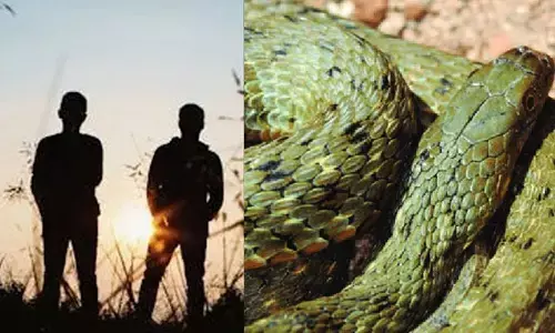 Snake like fish: చేప అనుకొని పామును కాల్చుకొని తిన్న పిల్లలు.. తర్వాత ఏం జరిగిందంటే..
