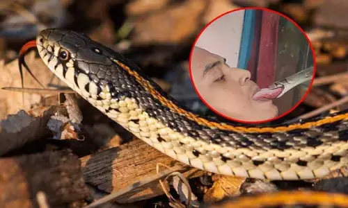 viral: పాము నోట్లో తన నాలుక పెట్టిన యువకుడు.. చివరికి ఏం జరిగిందంటే? వీడియో వైరల్