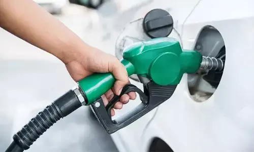 Fuel Mistakes: పెట్రోల్‌‌తో నడిచే వాహనంలో డీజిల్ పోయవచ్చా?.. ఏం జరుగుతుంది?