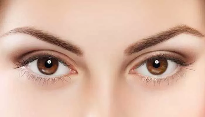 Eye gummies : ఐ గమ్మీలు కళ్లకు ఎలా ఉపయోగపడతాయి.. నిపుణులు ఏం చెబుతున్నారో తెలుసా.. Eye gummies : ఐ గమ్మీలు కళ్లకు ఎలా ఉపయోగపడతాయి.. నిపుణులు ఏం చెబుతున్నారో తెలుసా..