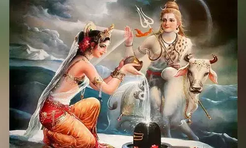 Goddess Parvati : పార్వతి దేవి గర్భం దాల్చకుండా శపించింది ఎవరో తెలుసా.. మరి సంతానం ఎలా కలిగింది..