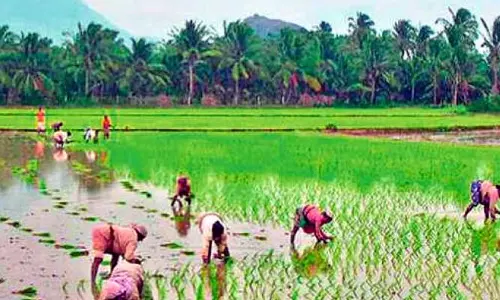 రూ.2 లక్షలకు పైగా రుణం తీసుకున్న రైతులకు గుడ్ న్యూ్స్