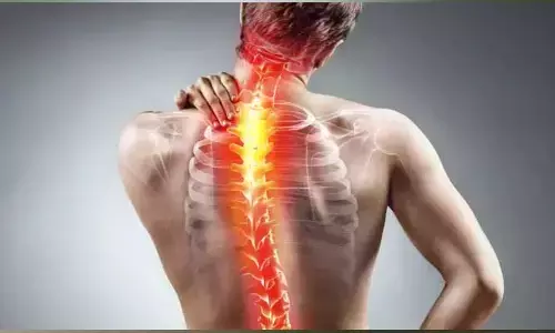 Back Pain : మీరు వెన్నునొప్పితో బాధపడుతున్నారా.. ఈ చిట్కాలు ఫాలో అవ్వండి..