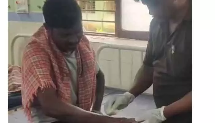 పిచ్చికుక్క దాడిలో ఏడుగురికి గాయాలు పిచ్చికుక్క దాడిలో ఏడుగురికి గాయాలు