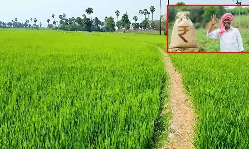 రుణ‌మాఫీతో రైతాంగంలో అంబరాన్నంటిన సంబరాలు.. ఉమ్మ‌డి జిల్లాలో 2,274.09 కోట్ల రుణాలు మాఫీ