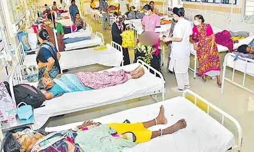 డెంగ్యూ డేంజర్ బెల్స్..  మన్యంలో 300 దాటిన జ్వర పీడితులు