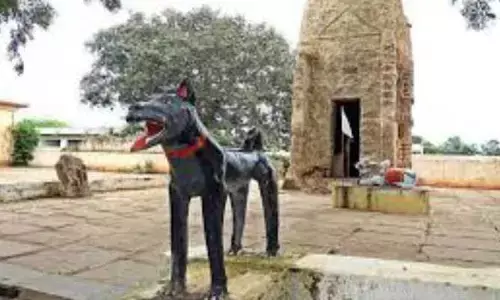 Kukur temple : ఆ ఆలయంలో శునకమే దేవుడు.. ఆ రహస్యం ఏంటో తెలుసా..