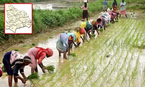 రూ. 2 లక్షల రుణమాఫీ.. నల్గొండ జిల్లా రైతుల లిస్టు ఇదే..!