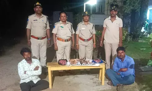 కొండగొర్రె మాంసం విక్రేతల అరెస్ట్‌