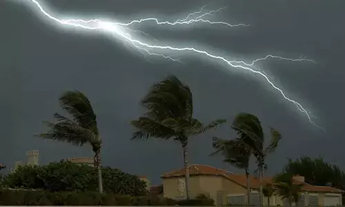 Palm trees : పిడుగు నుంచి మానవుల ప్రాణాలను కాపాడే తాటిచెట్లు.. ఎలాగో చూసేద్దామా..