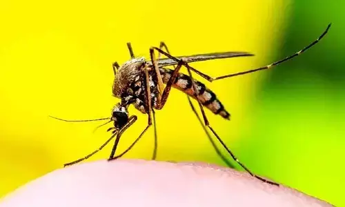 Health Problems : డెంగ్యూ, మలేరియా మాత్రమే కాదు.. దోమలతో వచ్చే మరిన్ని వ్యాధులు ఏంటో చూసేద్దామా..